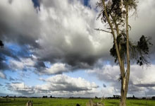 竞彩足球胜平负平台该如何选择？有哪些注意事项？